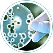 diagnostic-gi-map-zonulin diagnostic-gi-map-zonulin