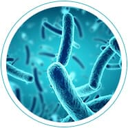 diagnostic-gi-map diagnostic-gi-map